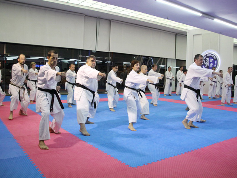 &Tau;&mu;ή&mu;&alpha;&tau;&alpha; &Epsilon;&nu;&eta;&lambda;ί&kappa;&omega;&nu; Karate